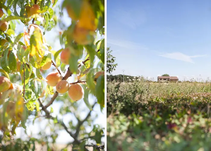 Agriturismo Il Mondo